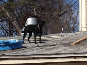 Close up of roof dog